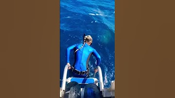 Thumbnail of Never Jump Into The Ocean or Else THIS Will Happen! #shorts