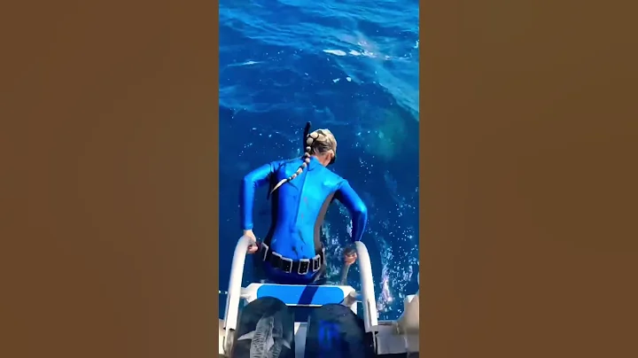 Never Jump Into The Ocean or Else THIS Will Happen! #shorts - DayDayNews