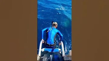 Never Jump Into The Ocean Or Else THIS Will Happen Shorts 