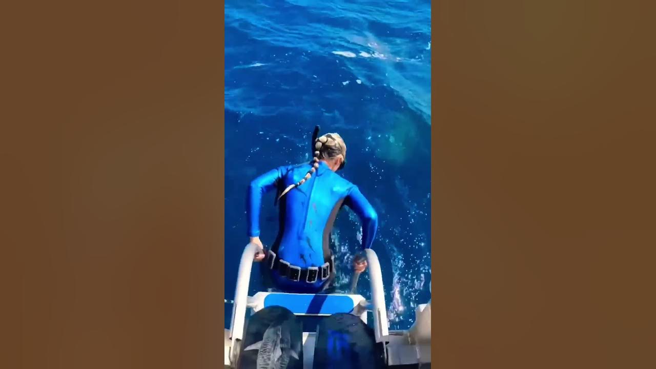 Never Jump Into The Ocean or Else THIS Will Happen! #shorts