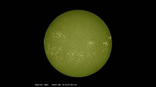 The Sun 08212026 Multiview for Fullscreen and speed control