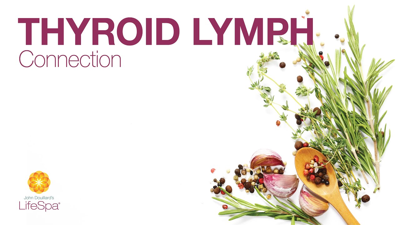 Thyroid Lymph Connection  Dr. John Douillard's LifeSpa 