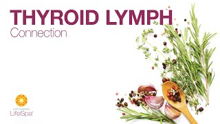 Thyroid Lymph Connection | Dr. John Douillard's LifeSpa