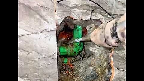 Acoustic water leak detector