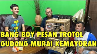 Gudang Murai Kemayoran antar trotol murai batu double ring APBN   BNR prospek pesanan Bang Boy