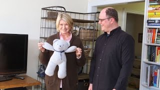 Spring Cleaning Dilemmas - Martha Stewart