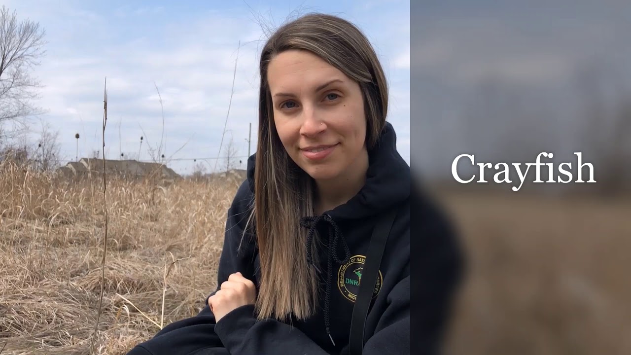 Nature in OUR Neighborhood-What's in a Wetland