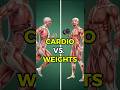 What Happens Inside Your Body When You Do Cardio VS. Weights?