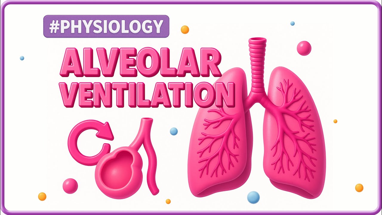 How to Calculate Alveolar Minute Ventilation: Easy Steps Explained