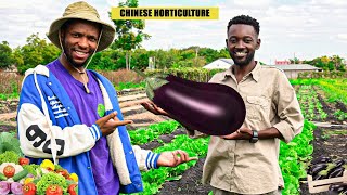How he is Doing Chinese Horticulture in Africa as A young Digital farmer screenshot 4