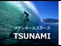 【歌詞付き】 サザンオールスターズ 「TSUNAMI」 フル cover.
