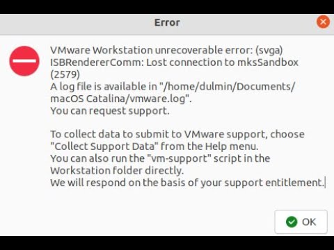 How to fix lost connection to mks sandbox error in VMware