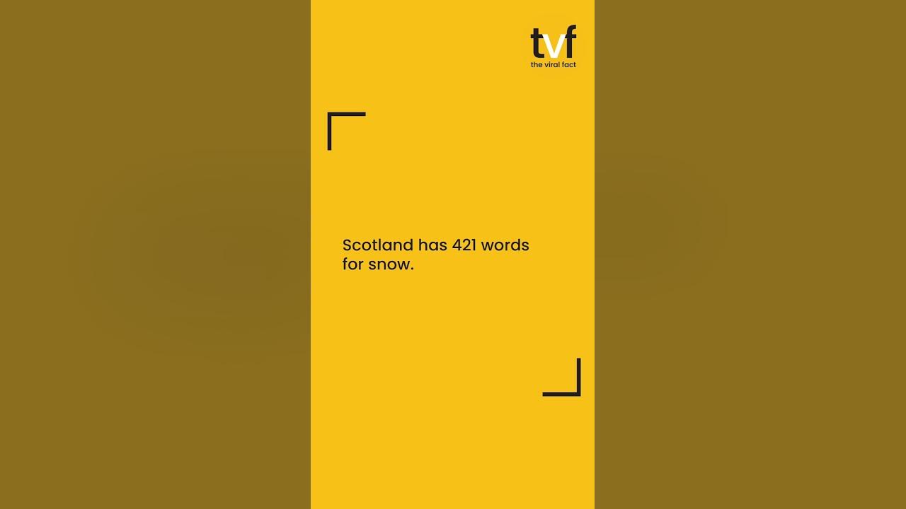 unique-words-for-snow-shorts-fact-snow-scotland-theviralfacttvf