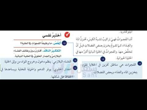 ما وظيفة الفجوات في الخلية