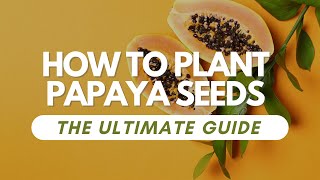 How To Plant Papaya Seeds