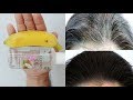 White Hair To Black Hair Naturally in Just Five Month Permanently at home