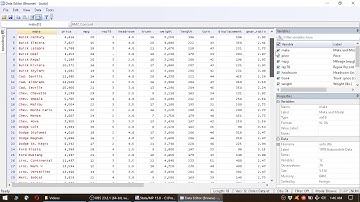 Stata Basics # 1: Interface explained, power of -browse,- why not to use -edit-