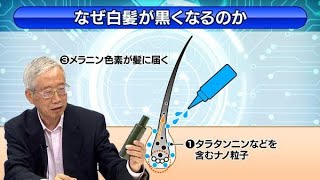 砂漠へ、認知症予防へ　シニア起業家の野望（日経TechLiveＸ）