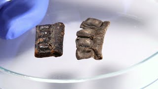New Study Reveals: Tefillin (Phylacteries) Were Not Colored Black 2,000 Years Ago