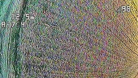 2 FPV cameras on a drone (Front & Down, DVR)