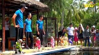 Khỉ Bơi Đua Độc Nhất Vô Nhị Tại Đảo Khỉ Nha Trang