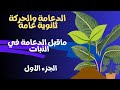 حصريآ المحاضرة الأولى منهج الأحياء دفعة 2026 تأسيس ماقبل الدعامة في النبات الجزء الأول حصريآ المحاضرة الأولى منهج الأحياء دفعة 2026 تأسيس ماقبل الدعامة في النبات الجزء الأول