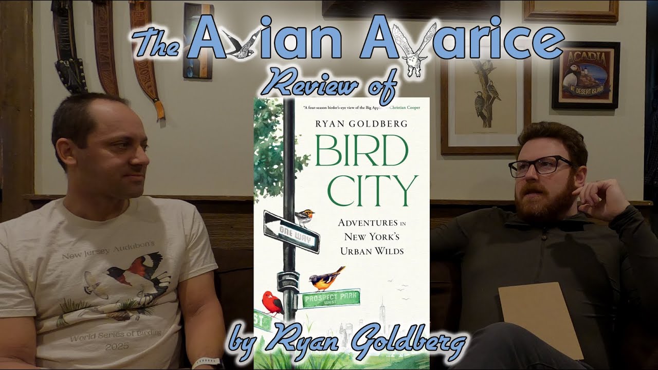 Birding in NYC? - We Reviewed the Book BIRD CITY 