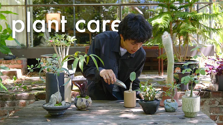 Relaxing Plant Care 🪴 Thoughtful Plant & Pot Pairings