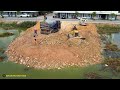 Wonderful New Project Showing Komatsu Dozer Pushing Soil And 5Ton Dump Truck Unloading