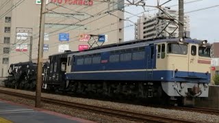 【EF65-2139号機がヨ8000とシキ801Bを牽引！】EF65-2139号機+ヨ8402+シキ801B 配8592レ 金町駅通過