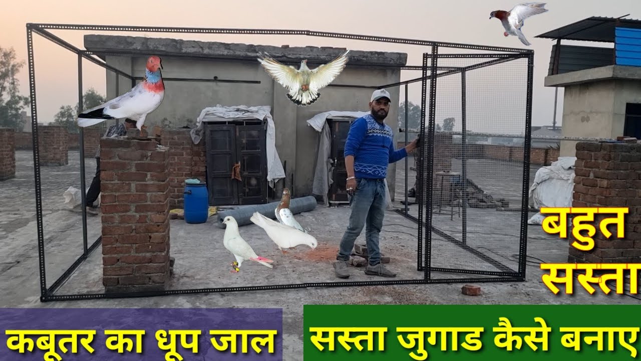 Dhop jaal sasta jugad kese banaye