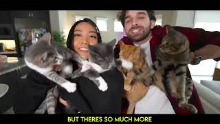 Daniel Ferri - Kittens (From His Video Someone Is ABANDONING Kittens In My Neighborhood)