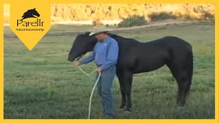 Parelli Natural Horse Training Tip - Pat Parelli shows how to lead a horse