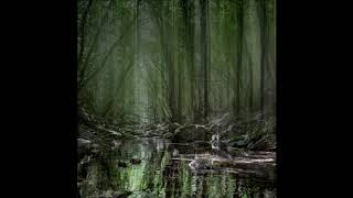 Giulio Aldinucci & The Star Pillow - Third Space
