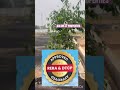 #trending #realestate #salem #erode #tiruchengodu #rasipuram #namakkal #home #villa #elampillai #tvk
