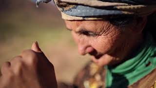 IDFA 2017 - House in the fields trailer
