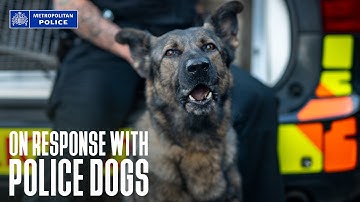 On Response - Police Dogs | On Shift with the Met’s Dog Support Unit