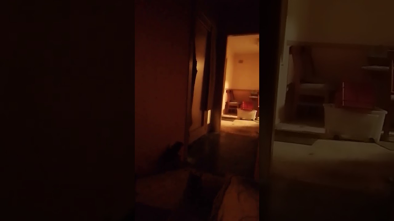 Bugs Bunny, Elmer Fudd & Its  Cunnin' Sender/s Are Outside. That Back Stabber Outside Won't Fuck Off