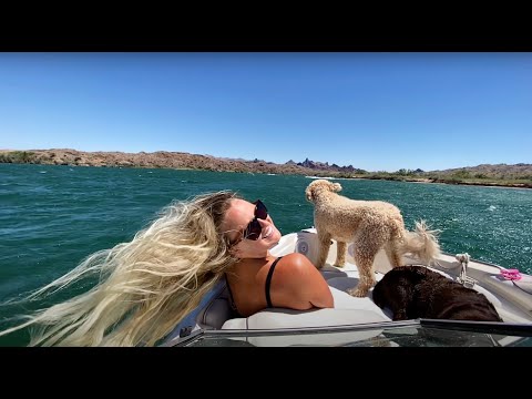 Boating Bliss & Jet Ski Mayhem on the Colorado River! 🚤⚡