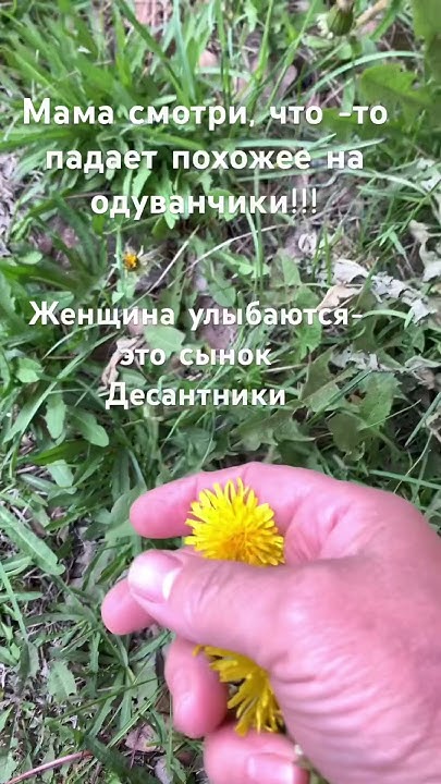 Десантники - одуванчики - YouTube