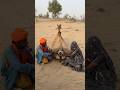 يتمك ن خبير في صيد الثعابين من السيطرة على شيء مخيف خرج من الجمل ثم ي طلقه من جديد