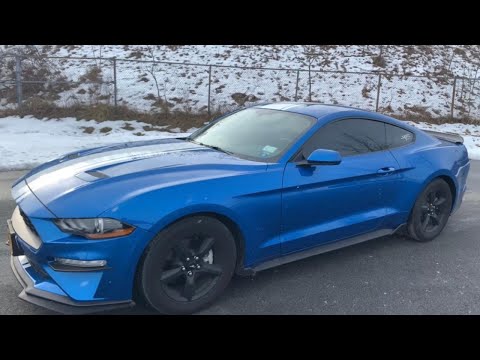 2019 Ford Mustang Ecoboost Review After 1 Year
