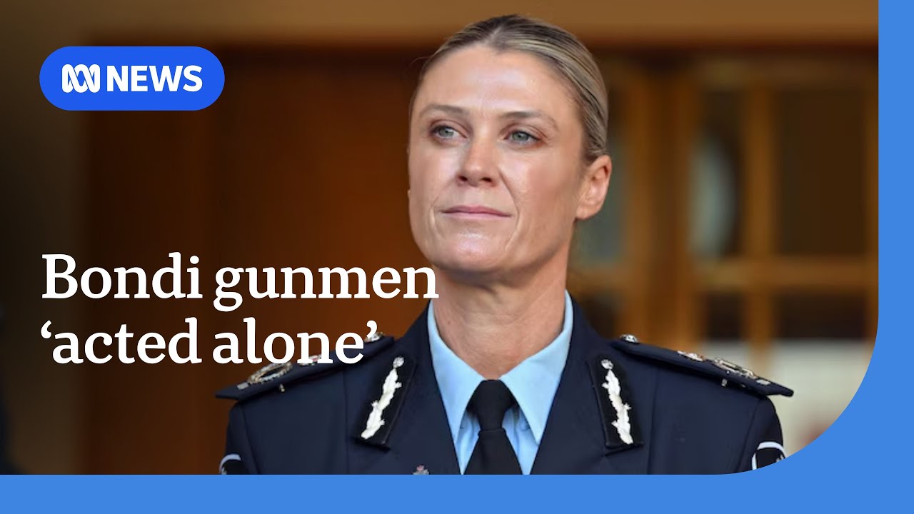 AFP says Bondi gunmen acted alone, did not receive training in ...