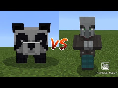 Panda vs Vindicator