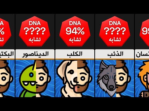 ما مدى تشابهنا مع الحيوانات حسب الجينات و الحمض النووي حيوان يشبهنا بنسبة 98