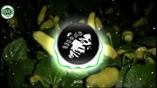 @wisisi wamena 2022 koven full Bass