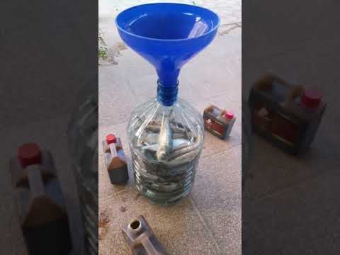 السماد السمكي الحيوي