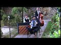 Velvet Rose Live Band - Medley Jazz /Chanson Française (instrumental)