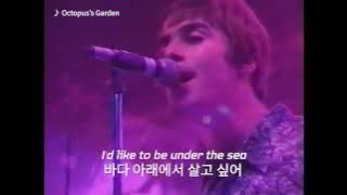 Download lagu Oasis - Whatever   Octopus's Garden   All the young dudes