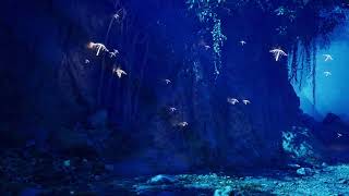 HLSL technical demo (No Sound), a mimic of Pandora/Avatar forest seeds scene